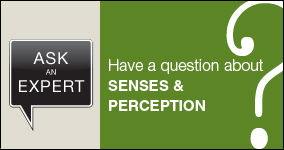 Ask an expert. Submit a question about senses and perception.